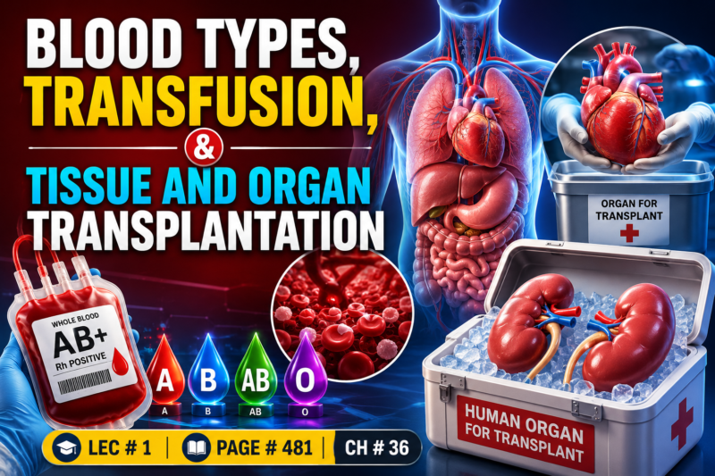 ANTIGENICITY CAUSES IMMUNE REACTIONS OF BLOOD   Lec # 1 Page # 481, Ch # 36, superfast simplified  image base Self  Learning series. Guyton Physiology,15th Edition.