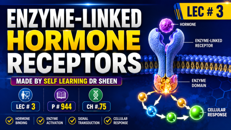 Enzyme-Linked Hormone Receptors – Lec # 3 P # 944 Ch # 75