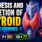 SYNTHESIS AND SECRETION OF THYROID METABOLIC HORMONES - 1 Lec# 1 P# 965 Ch: # 77