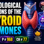PHYSIOLOGICAL FUNCTIONS OF THE THYROID HORMONES - Lec# 2 P, # 968 Ch: # 77