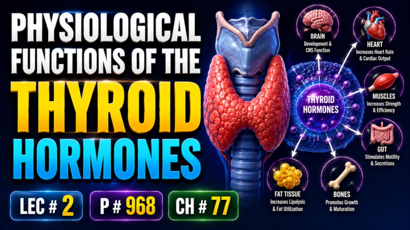 PHYSIOLOGICAL FUNCTIONS OF THE THYROID HORMONES – Lec# 2 P, # 968 Ch: # 77
