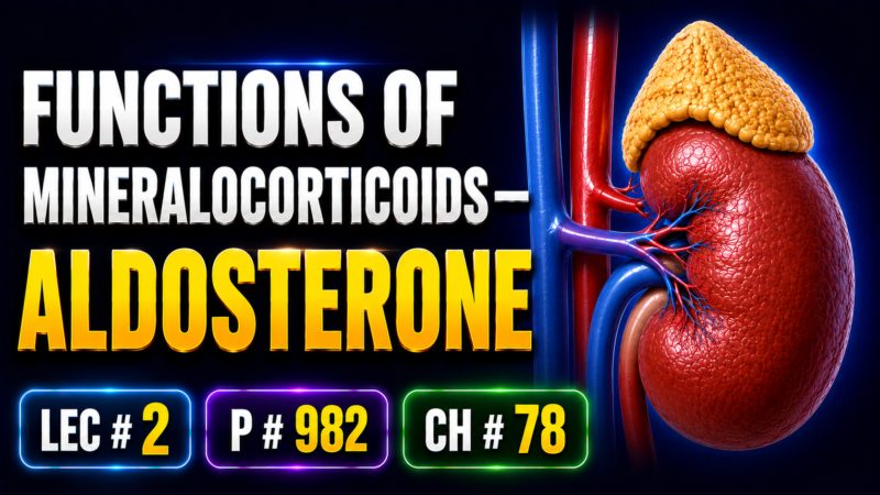 FUNCTIONS OF MINERALOCORTICOIDS—ALDOSTERONE – Lec # 2 p, # 982 Ch # 78