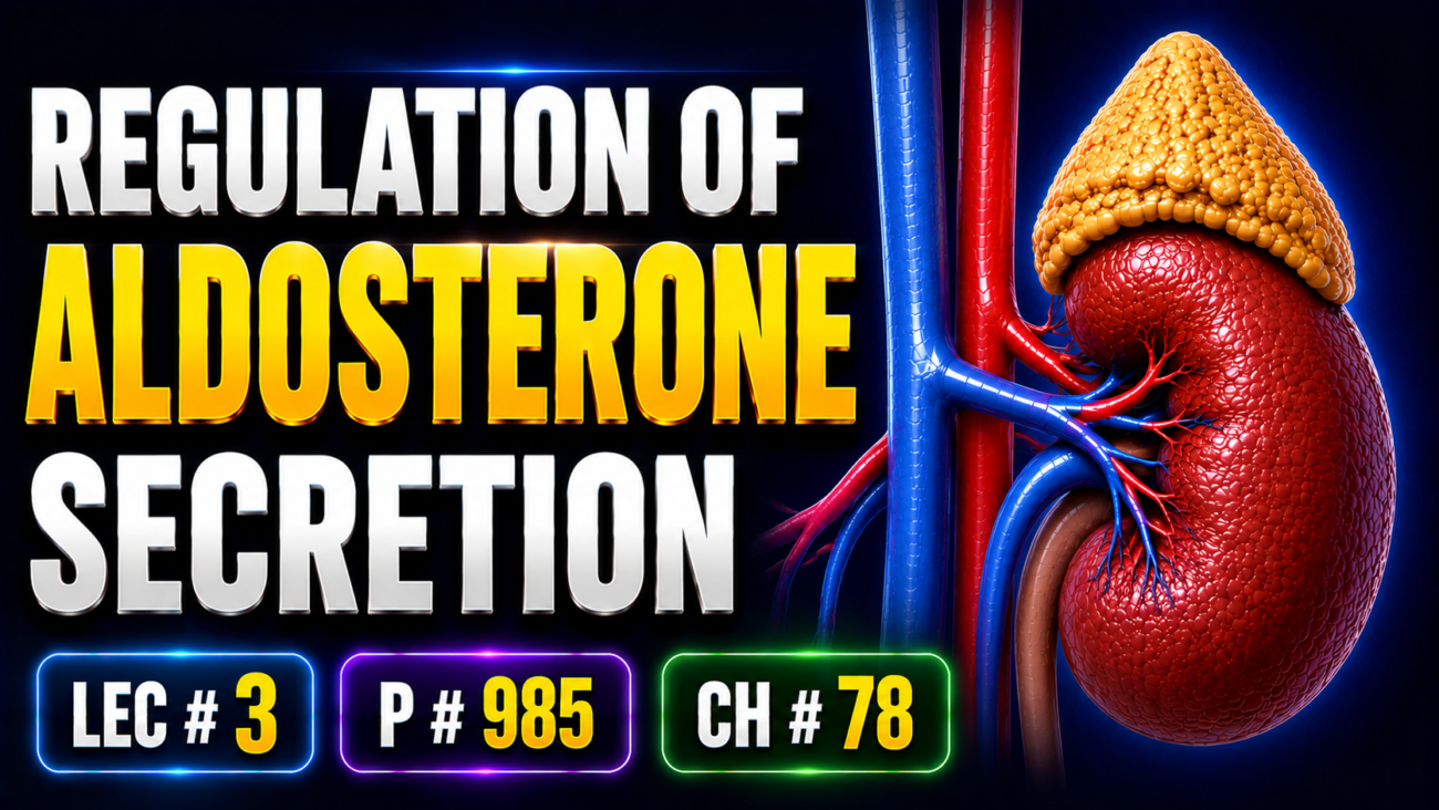 REGULATION OF ALDOSTERONE SECRETION - Lec # 3, P, # 985 Ch: # 78