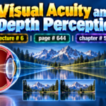 1.Visual Acuity and Depth Perception - Lecture 6|Page 644| Chapter 50