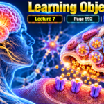 Learning Objectives - Lecture 7 | Page 592 | Chapter 46